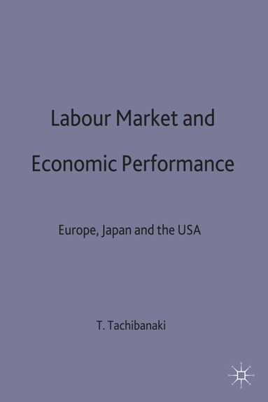 bokomslag Labour Market and Economic Performance