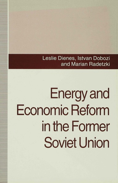 bokomslag Energy and Economic Reform in the Former Soviet Union