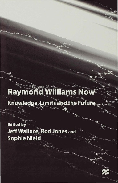 bokomslag Raymond Williams Now