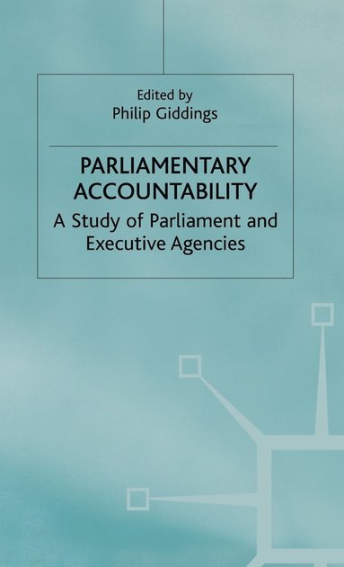 bokomslag Parliamentary Accountability