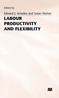 bokomslag Labour Productivity and Flexibility