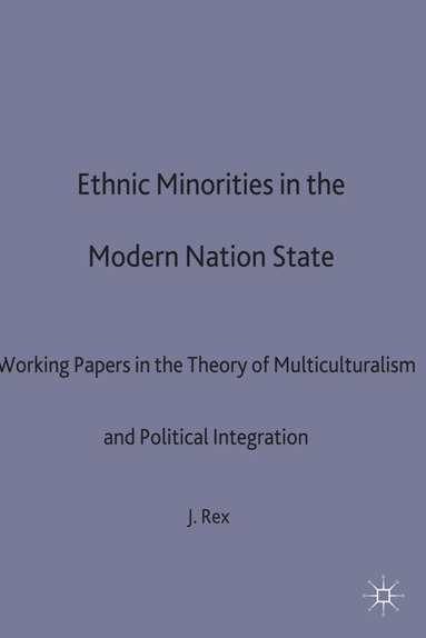 J. Rex - Ethnic Minorities in the Modern Nation State, Häftad