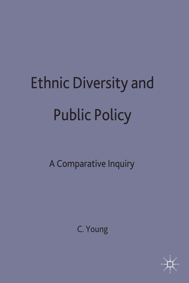 bokomslag Ethnic Diversity and Public Policy