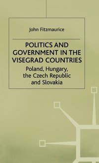 bokomslag Politics and Government in the Visegrad Countries