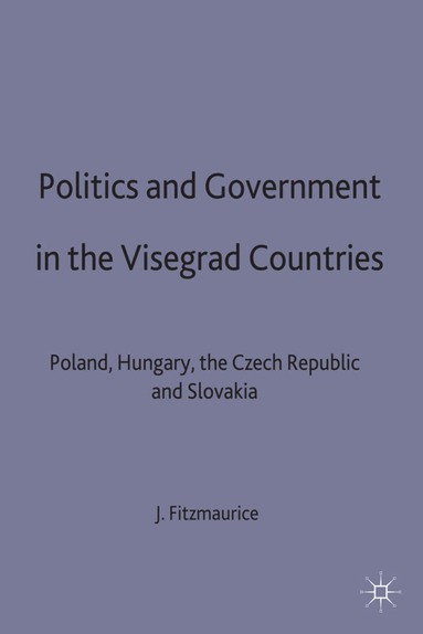 bokomslag Politics and Government in the Visegrad Countries