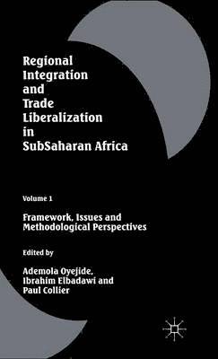 bokomslag Regional Integration and Trade Liberalization in Subsaharan Africa