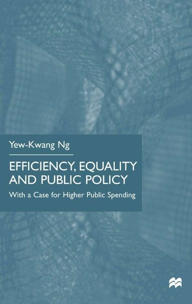 bokomslag Efficiency, Equality and Public Policy