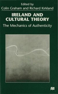 bokomslag Ireland and Cultural Theory