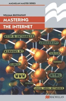 bokomslag Mastering the Internet