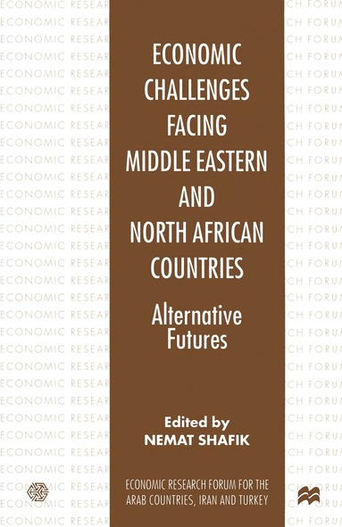 bokomslag Economic Challenges facing Middle Eastern and North African Countries