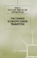 bokomslag The Chinese Economy under Transition