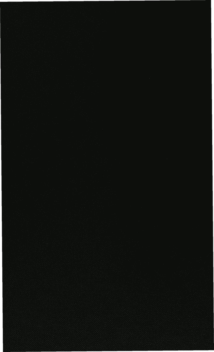 European Security Architecture after the Cold War