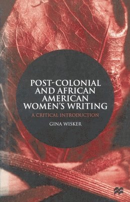 bokomslag Post-Colonial and African American Women's Writing: A Critical Introduction