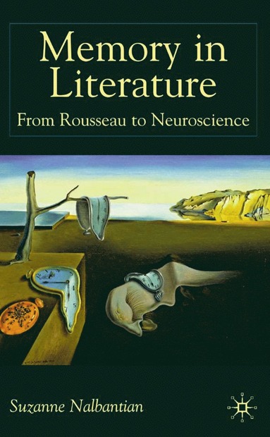 bokomslag Memory in Literature