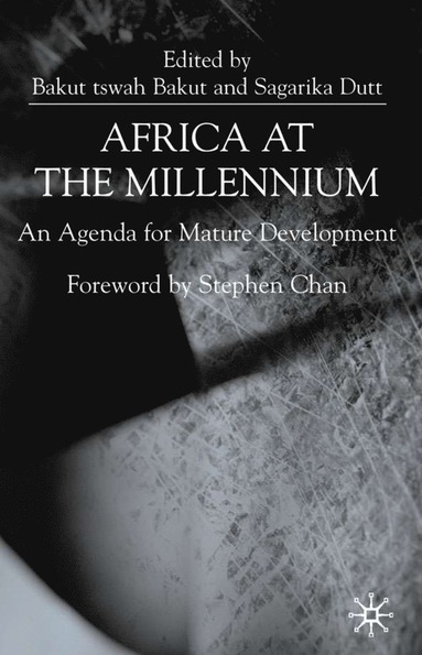bokomslag Africa at the Millenium