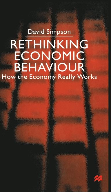 bokomslag Rethinking Economic Behaviour