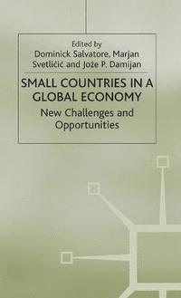 bokomslag Small Countries in a Global Economy