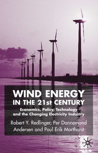 bokomslag Wind Energy in the 21st Century