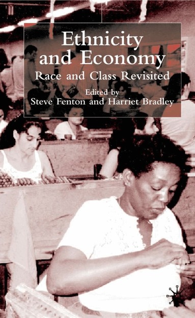 S. Fenton, H. Bradley, Dr Fenton, Steve, Harriet Bradley - Ethnicity and Economy, Inbunden
