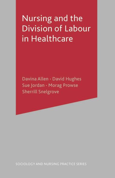 Davina Allen, David Hughes - Nursing and the Division of Labour in Healthcare, Häftad