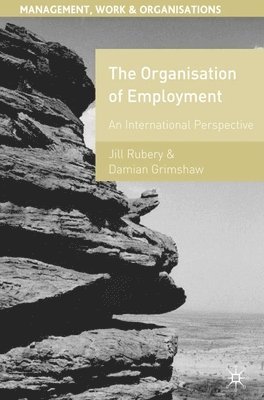 bokomslag The Organisation of Employment: An International Perspective