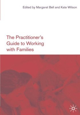 bokomslag The Practitioner's Guide to Working with Families