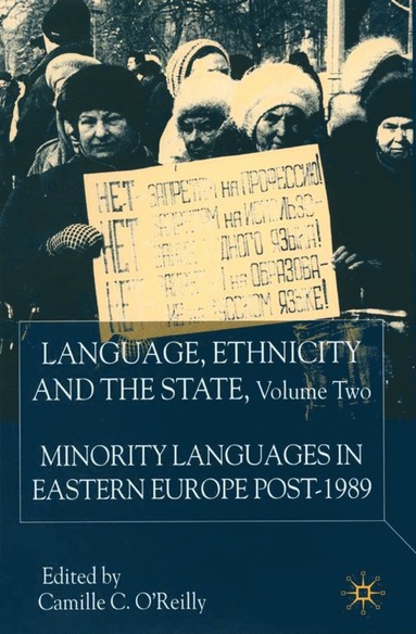 bokomslag Language, Ethnicity and the State, Volume 2