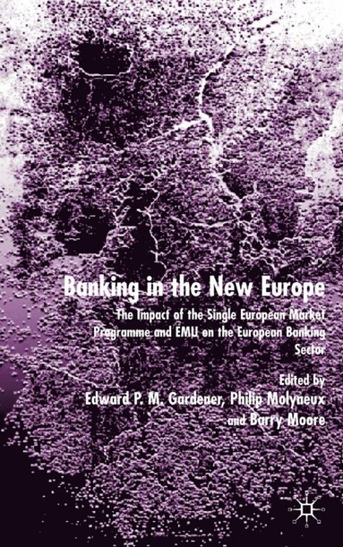 bokomslag Banking in the New Europe