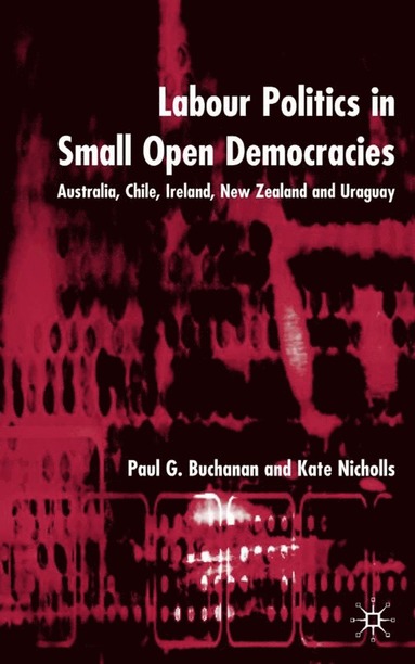 bokomslag Labour Politics in Small Open Democracies