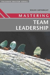 bokomslag Mastering Team Leadership