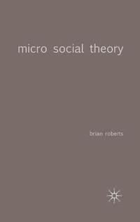 bokomslag Micro Social Theory