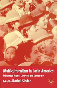 bokomslag Multiculturalism in Latin America