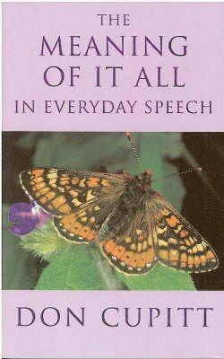 Meaning of it All in Everyday Speech 1