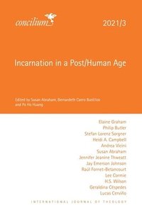 bokomslag Incarnation in a Post/Human Age