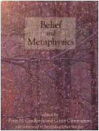 bokomslag Belief and Metaphysics