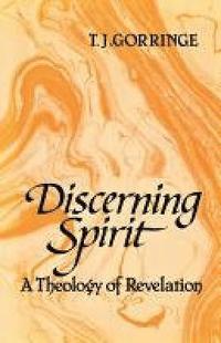 bokomslag Discerning Spirit