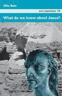 bokomslag What Do We Know about Jesus?