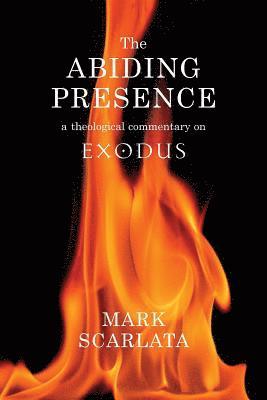 bokomslag The Abiding Presence: A Theological Commentary on Exodus