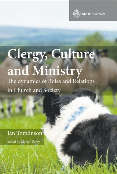 bokomslag Clergy, Culture and Ministry