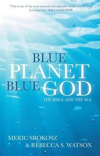 bokomslag Blue Planet, Blue God