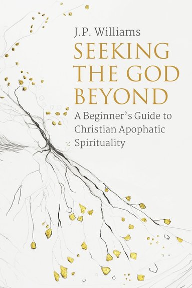 bokomslag Seeking the God Beyond