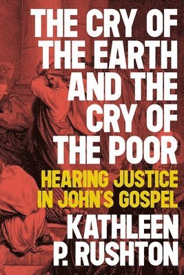 bokomslag Cry of the Earth and the Cry of the Poor