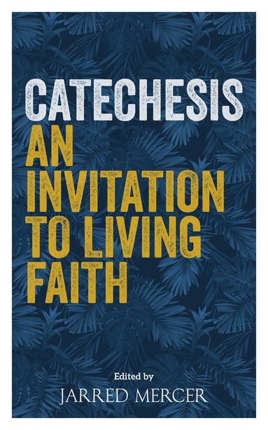 bokomslag Catechesis