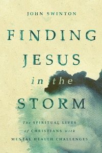 bokomslag Finding Jesus in the Storm