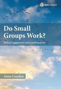 bokomslag Do Small Groups Work?
