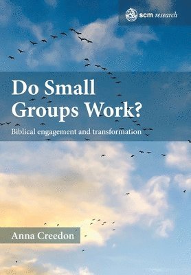 bokomslag Do Small Groups Work?