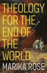 bokomslag Theology for the End of the World