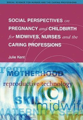 Social Perspectives On Pregnancy And Childbirth For Midwives, Nurses And The Caring Professions 1