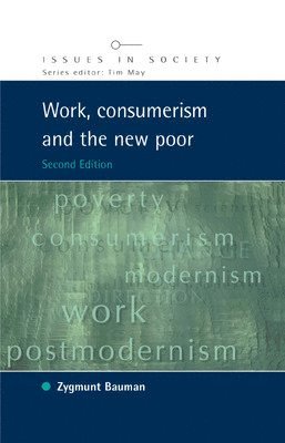 bokomslag Work, Consumerism and the New Poor