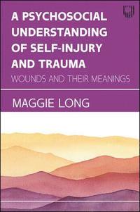 bokomslag A Psychosocial Understanding of Self-injury and Trauma: Wounds and their Meanings